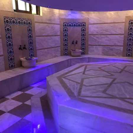 فيلة Ottoman Private Pool 2 *